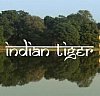 El tigre indio